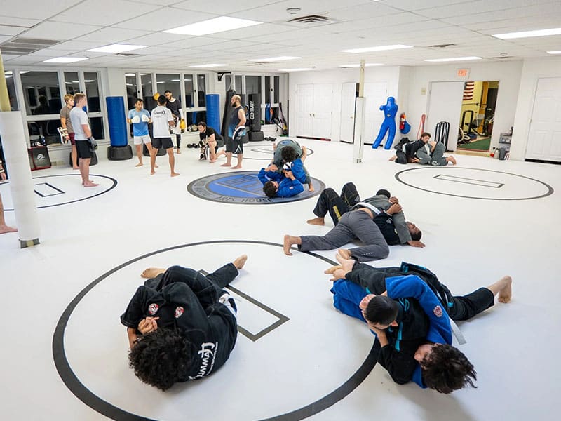 Adult Brazilian Jiu-Jitsu Men Only Classes Near Me in Lincoln Park